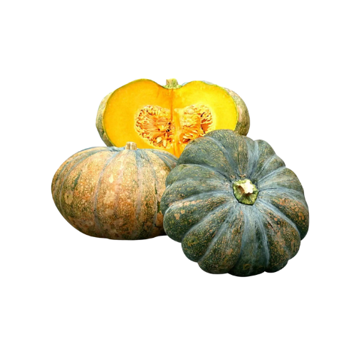 Fresh Market SLU Pumpkin